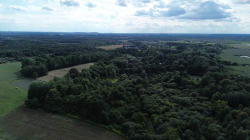 Działka, Wólka Nadrybska, 30 ar,