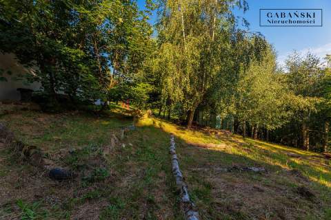 DREWNIANY DOM PO GRUNTOWNYM REMONCIE NA 1,35 HA -