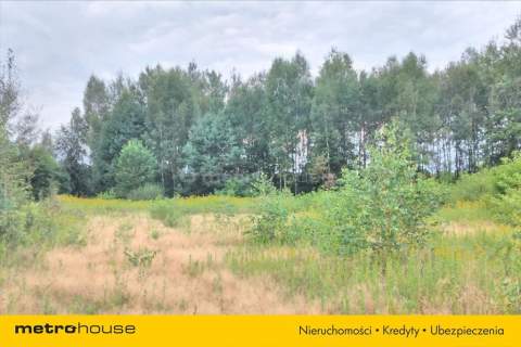 30 715 m przy S8 terenPUhale,magazyny,logistyka