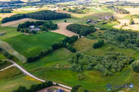 Działka siedliskowa na sprzedaż, 15600 m2, Chmielno