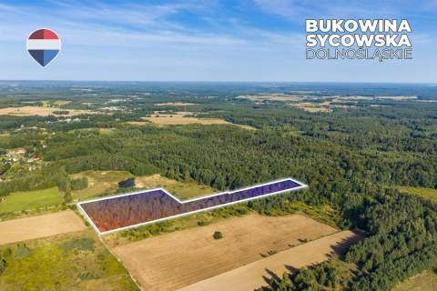 Działka leśna pow. 29.600 m , Bukowina Sycowska