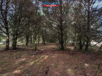 Działka budowlana na sprzedaż, 8200 m2, Rychlik