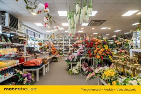 445 m Showroom / Handel / Usługi Łódź