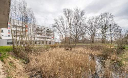 58 m2 z dużym balkonem w zielonej okolicy, parking