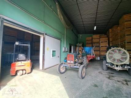 Działka na sprzedaż, 68500 m2, Rawa Mazowiecka