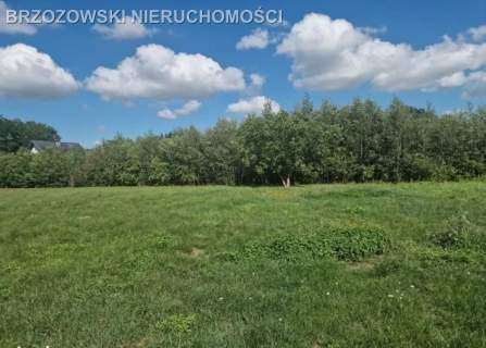 Żółwin, 1420 m2, MPZP, mieszkaniowa