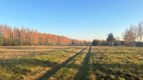 Działka budowlana nr 59/20 Józefów gm. Pniewy z pozwoleniem na...