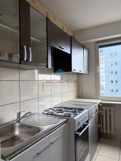 Mieszkanie do wynajęcia, 48 m2, Gniezno