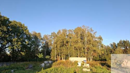Media, Las Ratyński, 891m , budowlana, Wrocław