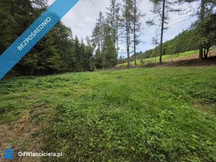 Działka BUDOWLANA i dom, 31 ary Bieszczady, Bóbrka, k. SOLINA