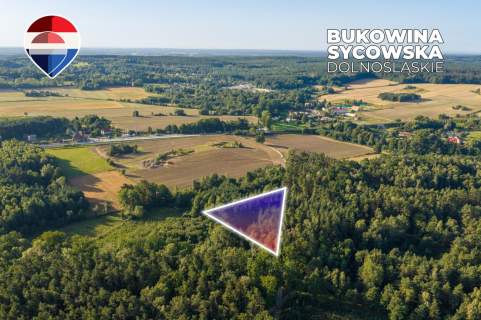 Działka leśna pow. 29.600 m , Bukowina Sycowska