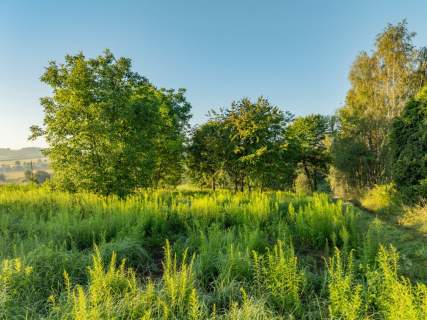 80 arów pozwolenie na budowę 2 domów