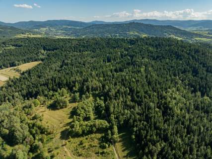 Działka leśna 20 700 m Kasina Wielka