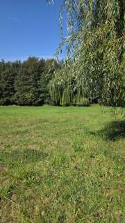 Działka w zielonej okolicy blisko lasu