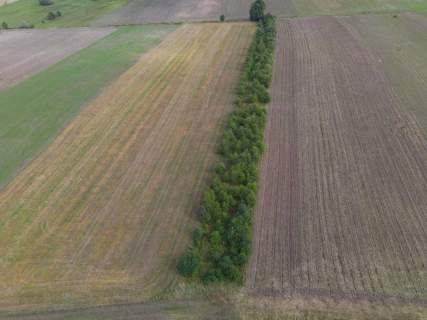 Działka rolna na sprzedaż, 5000 m2, Białogórzyno
