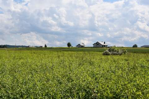 Działka inwestycyjna 81.7a w Krasne