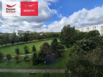 SWDPL Gdańsk Zaspa 3 pokoje kuchnia balkon