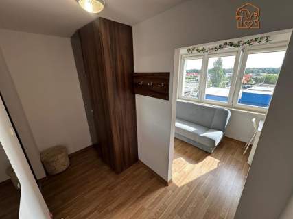 Fołtyn 3, Gołębiów, studio przyjazne dla zwierząt
