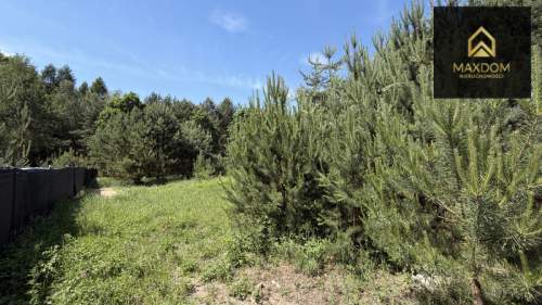 Cisza natura woda prąd światłowód MPZP Kampino