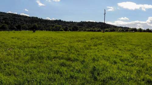 Działka budowlana 1 503 m MPZP MN
