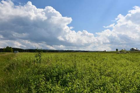 Działka inwestycyjna 81.7a w Krasne