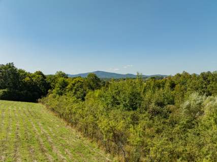 Działka rolno-leśna, 1,56 ha, Sadek, Jodłownik