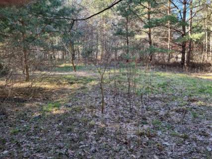Działka budowlana na sprzedaż, 2600 m2, Strzeniówka