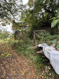 Siedlisko 2,5 ha Andrzejów gm. Przyłęk mazowieckie