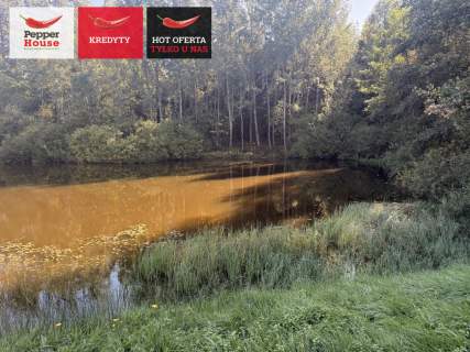 Działka z własnym dostępem do jeziora