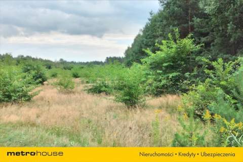 30 715 m przy S8 terenPUhale,magazyny,logistyka