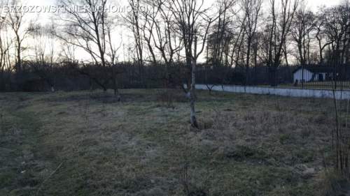 Nowodwory,3541 m2,MPZP,2 wolnostojące, 8 jednostek