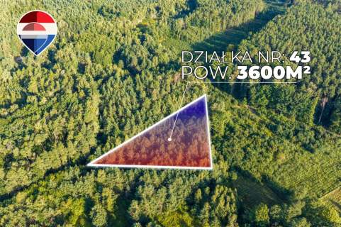 Działka leśna pow. 29.600 m , Bukowina Sycowska