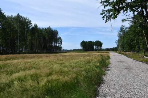 Działki 10a pod zabudowę pod lasem- Widełka