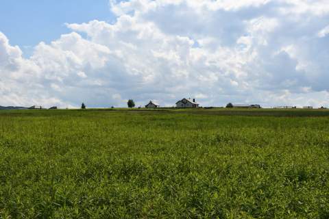 Działka inwestycyjna 81.7a w Krasne