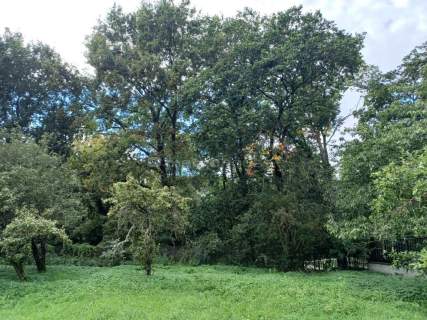Buków Cisza i przestrzeń pod Twój dom