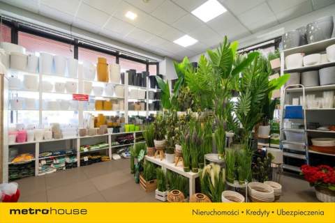 445 m Showroom / Handel / Usługi Łódź