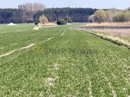 Kompleks o pow. 2,84 ha - Szymanowo Rawicz