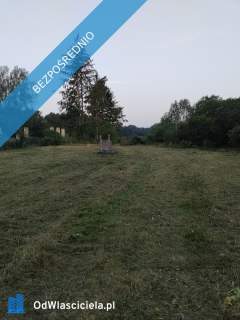 Siedlisko z lasem 4,03 ha przy jeziorach 2 działki Bereza k....
