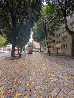 Stylowe 4 pokoje po kapitalnym remoncie Stare Miasto 0% prowizji