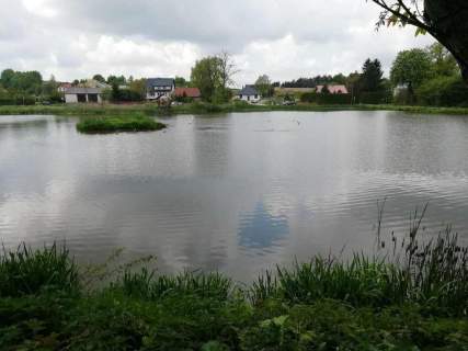 Działka o pow. 4,6 ha w Klementowicach gm. Kurów.