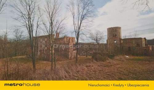 Ruiny Willi i Pałacu w Starej Kraśnicy 2,8 ha