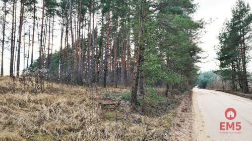 Działka 8500 m2, Jurowce