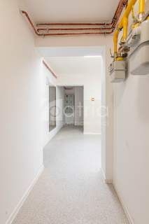 Apartament 3 pokojowy w centrum Szczecina