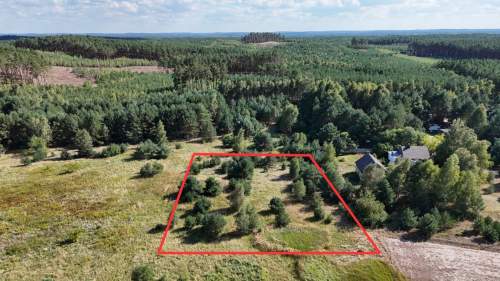 Działka w lesie 3006 m pozwolenie na budowę