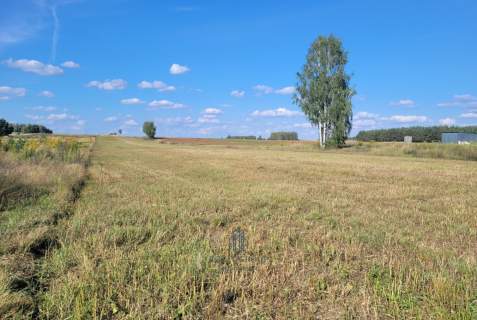 Działka budowlana las zalew