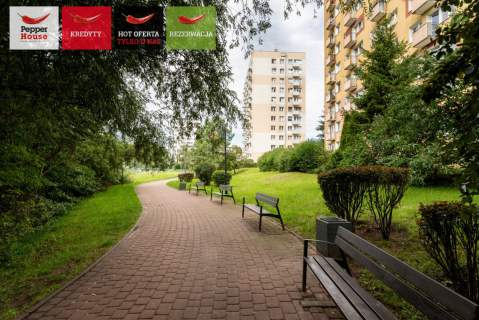 Z widokiem na park - 2 pokoje od zaraz