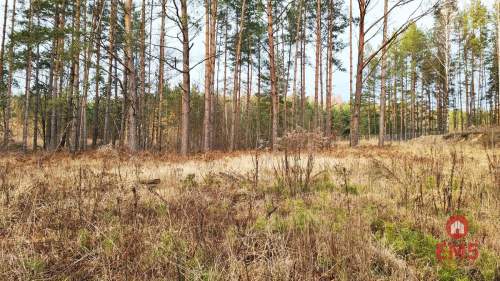 Działka 8500 m2, Jurowce