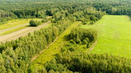 Działka rolna 71 arów Bidoliny Radłowskie