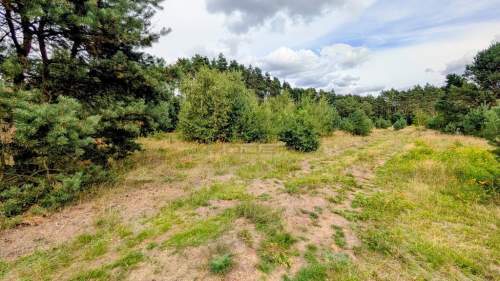 Wymarzony dom w naturze działka w okazyjnej ceni