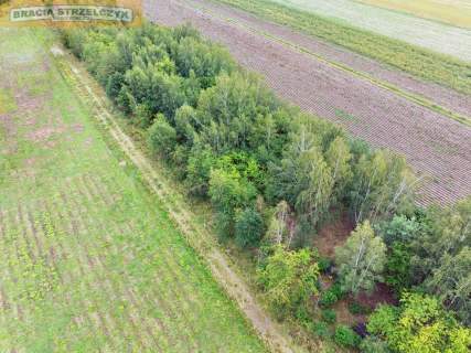 Działka 2000 m pod dom Walendów